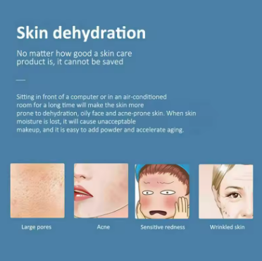 Hydro Facial Mist